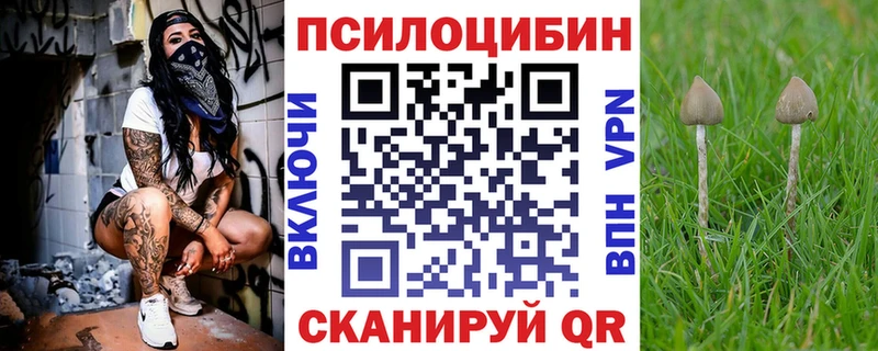 Псилоцибиновые грибы мухоморы  что такое наркотик  Велиж 